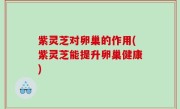 紫灵芝对卵巢的作用(紫灵芝能提升卵巢健康)