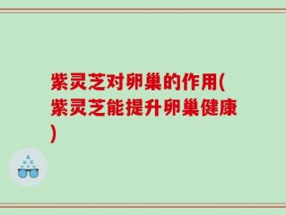 紫灵芝对卵巢的作用(紫灵芝能提升卵巢健康)