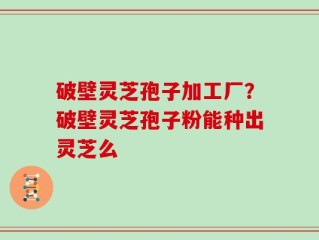 破壁灵芝孢子加工厂？破壁灵芝孢子粉能种出灵芝么