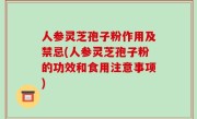 人参灵芝孢子粉作用及禁忌(人参灵芝孢子粉的功效和食用注意事项)