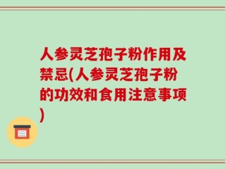 人参灵芝孢子粉作用及禁忌(人参灵芝孢子粉的功效和食用注意事项)