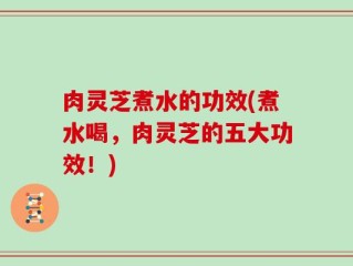 肉灵芝煮水的功效(煮水喝，肉灵芝的五大功效！)