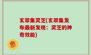 玄翠集灵芝(玄翠集发布最新发现：灵芝的神奇效能)