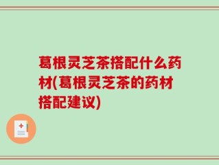 葛根灵芝茶搭配什么药材(葛根灵芝茶的药材搭配建议)