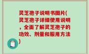 灵芝孢子说明书图片(灵芝孢子详细使用说明，全面了解灵芝孢子的功效、剂量和服用方法)