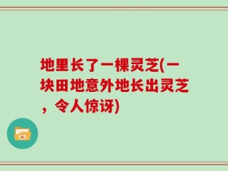 地里长了一棵灵芝(一块田地意外地长出灵芝，令人惊讶)