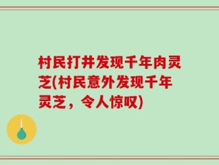 村民打井发现千年肉灵芝(村民意外发现千年灵芝，令人惊叹)