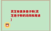 灵芝有很多孢子粉(灵芝孢子粉的功效和用途)
