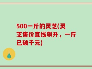 500一斤的灵芝(灵芝售价直线飙升，一斤已破千元)