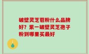 破壁灵芝苞粉什么品牌好？紫一破壁灵芝孢子粉到哪里买最好