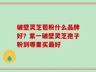破壁灵芝苞粉什么品牌好？紫一破壁灵芝孢子粉到哪里买最好