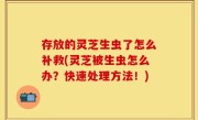 存放的灵芝生虫了怎么补救(灵芝被生虫怎么办？快速处理方法！)
