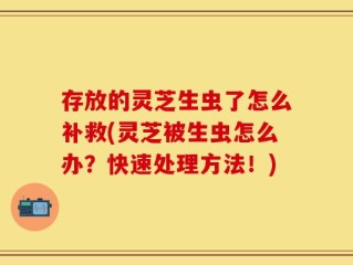 存放的灵芝生虫了怎么补救(灵芝被生虫怎么办？快速处理方法！)