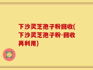下沙灵芝孢子粉回收(下沙灵芝孢子粉-回收再利用)