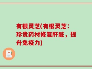有根灵芝(有根灵芝：珍贵药材修复肝脏，提升免疫力)