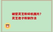 破壁灵芝粉碎机图片？灵芝孢子粉制作法