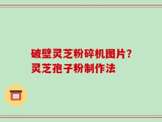 破壁灵芝粉碎机图片？灵芝孢子粉制作法