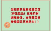 当归黄芪党参桂圆灵芝(养生佳品！五味药材调理身体，当归黄芪党参桂圆灵芝来助力！)