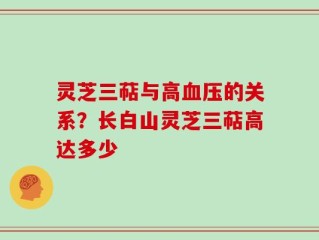 灵芝三萜与高血压的关系？长白山灵芝三萜高达多少