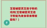 芝蔻破壁灵芝孢子粉的功效(芝蔻破壁灵芝孢子粉能为身体带来哪些益处？)