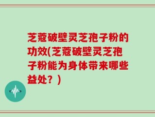 芝蔻破壁灵芝孢子粉的功效(芝蔻破壁灵芝孢子粉能为身体带来哪些益处？)