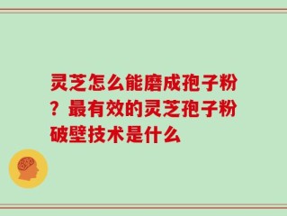 灵芝怎么能磨成孢子粉？最有效的灵芝孢子粉破壁技术是什么