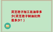 灵芝孢子加工出油率多少(灵芝孢子制油比例是多少？)