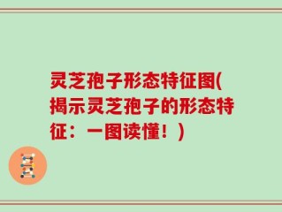 灵芝孢子形态特征图(揭示灵芝孢子的形态特征：一图读懂！)