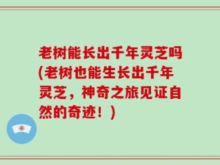 老树能长出千年灵芝吗(老树也能生长出千年灵芝，神奇之旅见证自然的奇迹！)