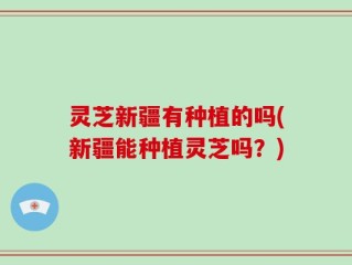 灵芝新疆有种植的吗(新疆能种植灵芝吗？)