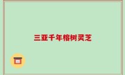 三亚千年榕树灵芝