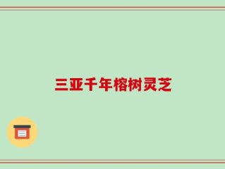 三亚千年榕树灵芝