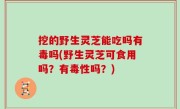 挖的野生灵芝能吃吗有毒吗(野生灵芝可食用吗？有毒性吗？)