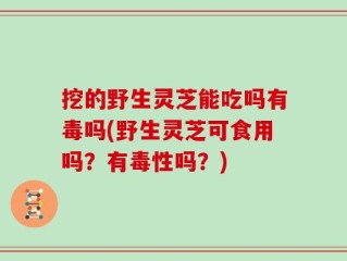 挖的野生灵芝能吃吗有毒吗(野生灵芝可食用吗？有毒性吗？)