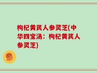 枸杞黄芪人参灵芝(中华四宝汤：枸杞黄芪人参灵芝)