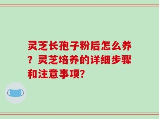 灵芝长孢子粉后怎么养？灵芝培养的详细步骤和注意事项？