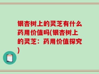 银杏树上的灵芝有什么药用价值吗(银杏树上的灵芝：药用价值探究)