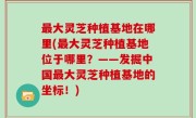 最大灵芝种植基地在哪里(最大灵芝种植基地位于哪里？——发掘中国最大灵芝种植基地的坐标！)