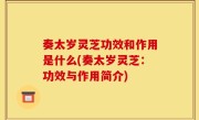 奏太岁灵芝功效和作用是什么(奏太岁灵芝：功效与作用简介)