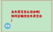 古木灵芝怎么泡水喝(如何正确泡古木灵芝水)