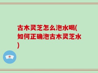古木灵芝怎么泡水喝(如何正确泡古木灵芝水)