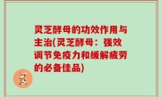 灵芝酵母的功效作用与主治(灵芝酵母：强效调节免疫力和缓解疲劳的必备佳品)