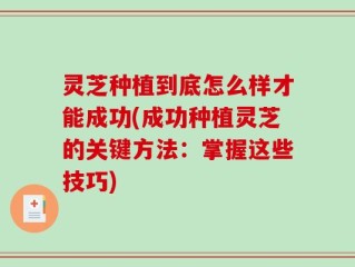 灵芝种植到底怎么样才能成功(成功种植灵芝的关键方法：掌握这些技巧)
