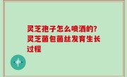 灵芝孢子怎么喷洒的？灵芝菌包菌丝发育生长过程