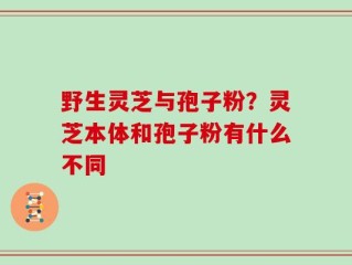 野生灵芝与孢子粉？灵芝本体和孢子粉有什么不同