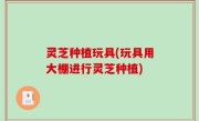 灵芝种植玩具(玩具用大棚进行灵芝种植)