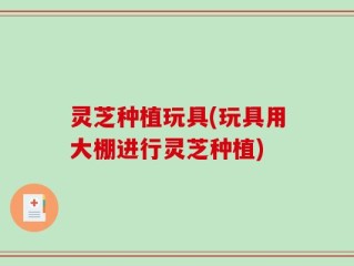 灵芝种植玩具(玩具用大棚进行灵芝种植)