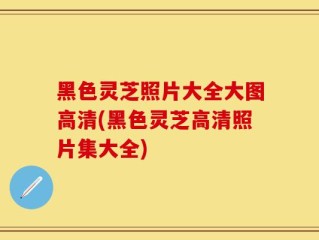 黑色灵芝照片大全大图高清(黑色灵芝高清照片集大全)