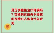 灵芝多糖能治疗肾病吗？在植物真菌类中提取的多糖对人体有什么好处