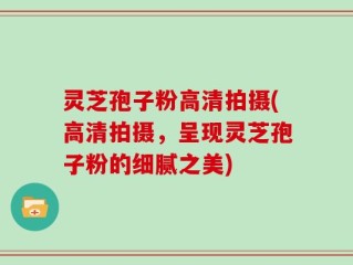 灵芝孢子粉高清拍摄(高清拍摄，呈现灵芝孢子粉的细腻之美)